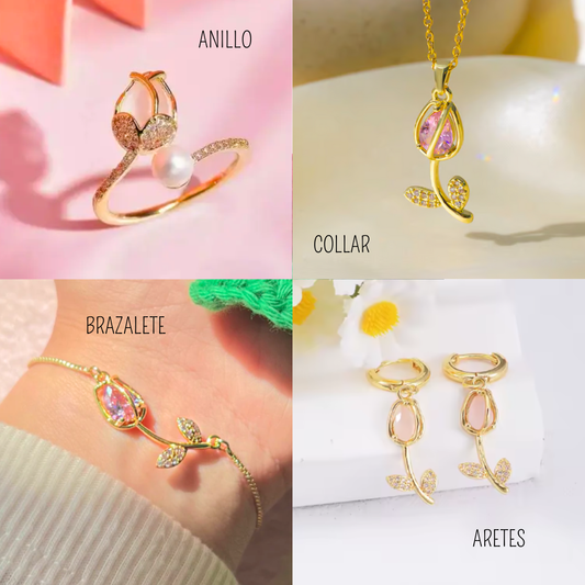 Set de Tulipanes 🌷 13 de Diciembre